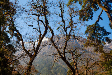 Nepal himalayas