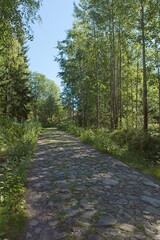 Old cobblestone path at Slåttmossen (oasis swamp) nature reserve in summer, Jakomäki, Helsinki, Finland.