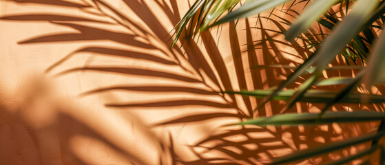 The interplay of light and shadow from tropical palm leaves creates an artistic pattern on a warm, textured wall