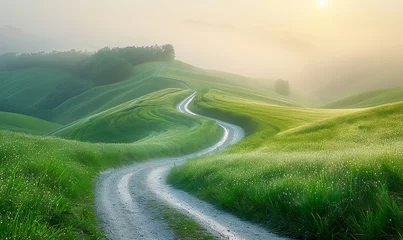 Foto op Canvas A path through a forest of green grass, with soft early morning sunlight casting a serene landscape © Brian Carter
