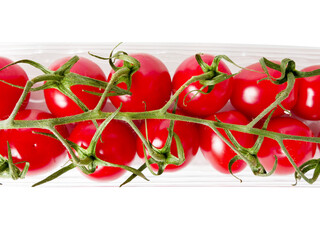 Fine tomato on vine in plastic container on white isolated background. Popular agriculture product...