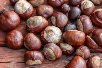 Conkers on wooden table