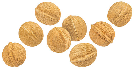 Whole walnuts isolated on white background, full depth of field - 768694591