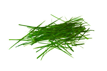Natural wild green cut grass isolated on white background
