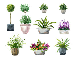 Plants in pots watercolor illustration - obrazy, fototapety, plakaty