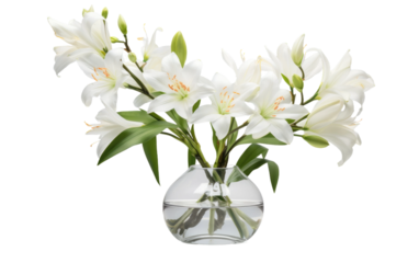 Minimalist Ceramic Centerpiece Isolated on Transparent Background