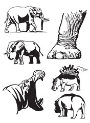 Graphical set of elephants  and hippos on white background, vector illustration	