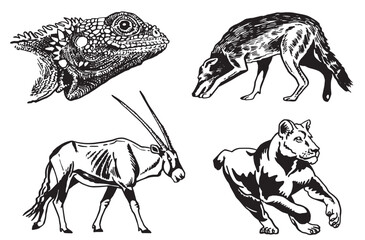 Graphical set of animals on white background, vector illustration
