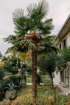city of Baone and Este in Italy