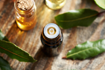 A dark bottle of aromatherapy essential oil with fresh bay leaf on a wooden table