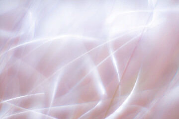 Obraz premium 光のイメージ