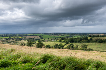 field and sky with clouds