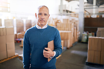 Boxes, confidence and portrait of businessman in warehouse with package, logistics and...