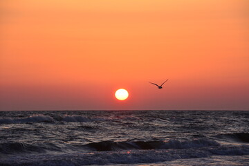 Sonnenaufgang am Meer - Ostsee