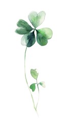 Single Shamrock Delicately Painted in Watercolor on a Clean White Canvas