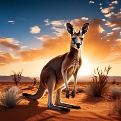 Foto op Plexiglas kangaroo in the sunset © Mujahid