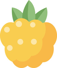 cloudberry