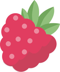 raspberry