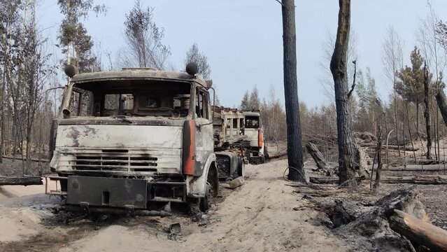 Burnt trucks in the woods