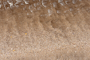 Texture of sand from the shore of the beach with traces of salt and shells.