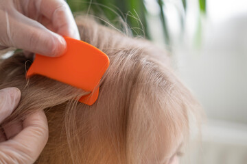 Close-up child's head with female hands searching for lice and nits in hair, combing through with orange comb for removal, Pediculosis - obrazy, fototapety, plakaty