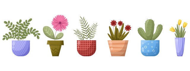 House plants, flowers in pots. Set of vector illustrations on a white background. Bright color palette, patterns, gradient. - obrazy, fototapety, plakaty