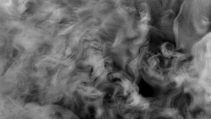 White atmospheric smoke, abstract background, close-up. - 768740164