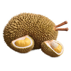 Durian pulp levitate on transparent background