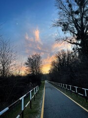 A bike path among the trees that rushes towards the sunset with the moon in the sky 
