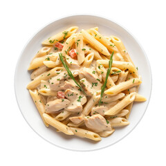 Plate of Creamy Chicken Penne Pasta with Tomato and Herb Garnish