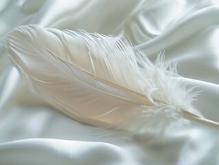 White Feather on White Satin