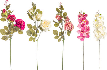 Branches with roses and orchids on transparent background