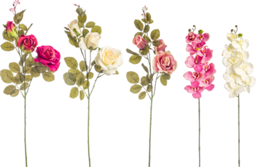 Branches with roses and orchids on transparent background