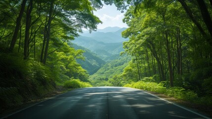 Fototapeta premium Road in forest in day in spring. Beautiful mountain curved roadway, trees with green foliage in fog and overcast sky