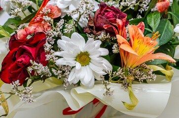Bouquet of charming spring flowers