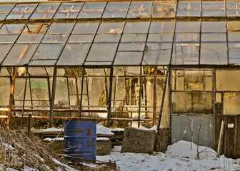 Ruin of a Greenhouse