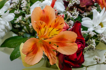 Obraz na płótnie Canvas Bouquet of charming spring flowers