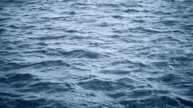blue water surface with small waves background