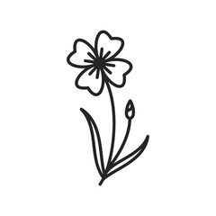 WebSpring flowers line icon. Forest fern eucalyptus art foliage natural leaves herbs. Decorative beauty elegant illustration for design hand drawn flower