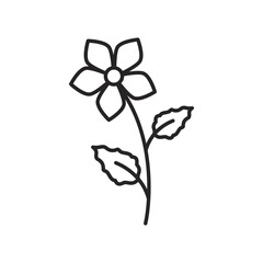 WebSpring flowers line icon. Forest fern eucalyptus art foliage natural leaves herbs. Decorative beauty elegant illustration for design hand drawn flower