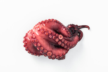 boiled octopus on a white background
