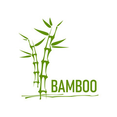 Fototapeta na wymiar Asian bamboo logo icon, spa massage, beauty and health symbol. Vector emblem with green bamboo stems and leaves embodies tranquility, balance and vitality, symbolize holistic wellness and rejuvenation