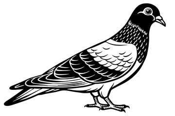 illustration-of-a-pigeon-vector-illustration