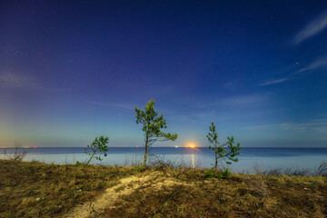 A beautiful beach of the Sobieszewo Island at the Baltic Sea at night. Poland - 768761976