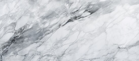 A close-up view showcasing the intricate details of a white marble texture. The high-resolution image captures the natural grey veining and smooth surface of the Italian marble. This texture is