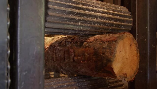 Image of a log going through the cutting process in a sawmill, with saw blades visible and sawdust scattered