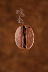 Single roasted coffee beans on brown background