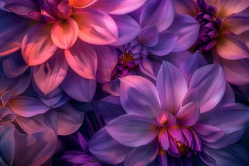 Schilderijen op glas Close up of vibrant purple flowers. Floral background. © Iryna