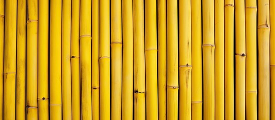 Detailed view of a bamboo fence that has been painted in a bright yellow color, creating a vibrant and eye-catching texture for backgrounds and surfaces - obrazy, fototapety, plakaty