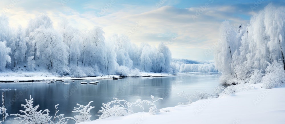 Poster Scenic view of snow-covered trees lining the edge of a river in a winter landscape, viewed from a bridge